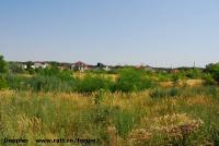 Imagine atasata: Timisoara Plaza Center - 2015.08.09 - 08.jpg